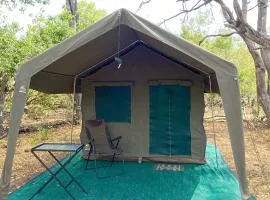 Shokomokwa Camping Resort