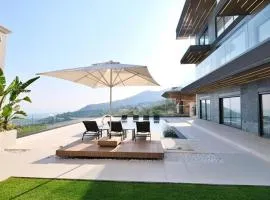 Luxury villa with a private pool