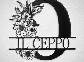 Il Ceppo