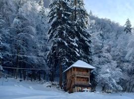 Mazot du Criou - Samoëns, Hotel in Samoëns