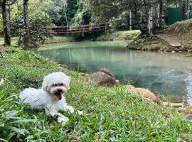 Cabaña con fogata BBQ y ríos cerro azul