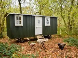 Shepherd Hut in the woods