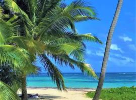 Studio confortable à Le Gosier 37 m² avec jardin, hotel i Bas du Fort