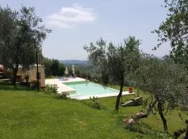 Il Merangolo