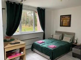 Apartmani Krčmarica 10