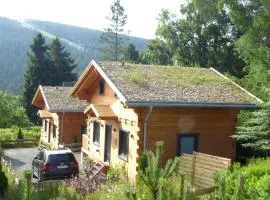 Harz-Blockhaus, Berg -"Hütte" mit Sauna und Kamin