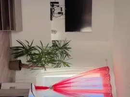 Appartement 1 chambre au calme Andrezieux-Boutheon