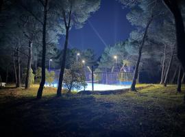 Mas, Padel privé, tennis privé, piscine 22m , Alpilles Provence, ξενοδοχείο σε Orgon