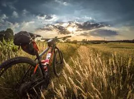 Chrysanthemum Loft with King Bed, Balcony, Bikes