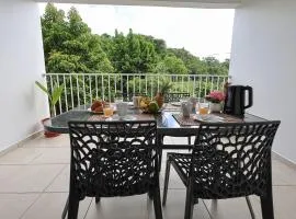 Balcon Nature&Parking-2ch Pres Aéroport-Guadeloupe