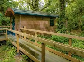 Woodpecker - Uk43451