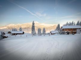 Le Flocon d'Argent, hotel in Les Gets