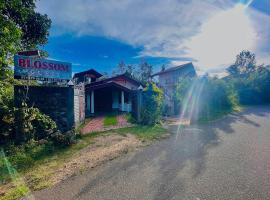 Blossom, hotel in Haputale
