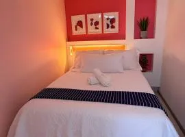 Habitación en Coyoacán 2