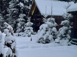 Cottage Karinka, hotel in Boekovel