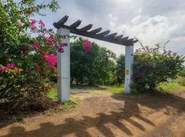 Le Sirenuse | Paradise Haven in Culebra, Island