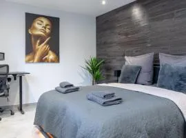 Luxury Apartment Schwabach 2