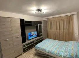 Apartament cu o camera