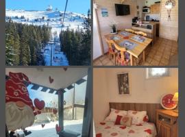 Le Flocon, Joli Cocon des Neiges en Rez de Jardin - Les Rousses - Draps inclus & Parking gratuit, hotel in Les Rousses