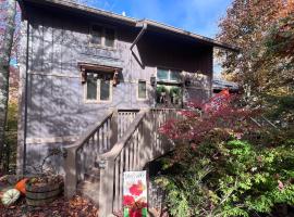Ski, Hike & Relax: Beech Mtn Gem w/ Sweeping Views, Hotel in Beech Mountain