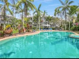 Coconut Palms at Holloways Beach - Cairns