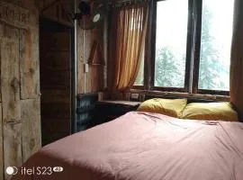 Dalat inn homestay hẻm 48 hà huy tập