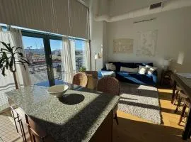 Downtown Condo 5 Minutes to Cedar Point