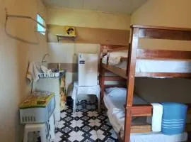 Kit Net moderna para COP 30