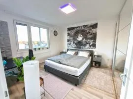 Big 1 Bedroom Apartment near Airport & City Center