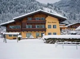 Apartments in Flachau - Salzburger Land 316