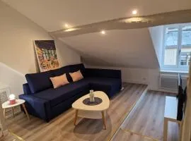 Le grand logis de Meung Sur Loire