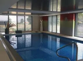 RSS DOMITYS Les Vignes Pourpres