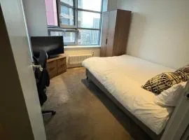 Spacious Central London Bedroom with Balcony and View