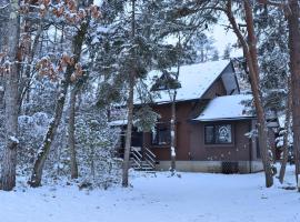 Sasamori House，位于安昙野市的山林小屋