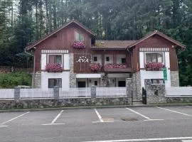 Pensiune AVA Sinaia