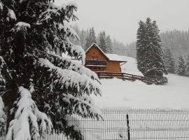 Casa Aurici Vatra Dornei, hotel in Vatra Dornei