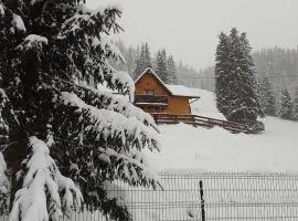 Casa Aurici Vatra Dornei