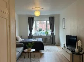 Södra innerstadens pärla