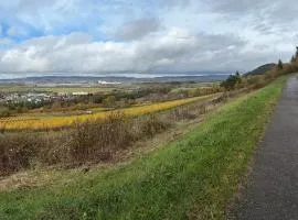 Ferienwohnung Rebennah - modern - Freisitz - Küche - ideal für Monteure