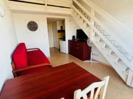 T2 4 couchages Port du Cap d'Agde , climatisation , piscine