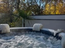Aix-les-Bains T3 haut standing écrin de calme avec jacuzzi en supplément