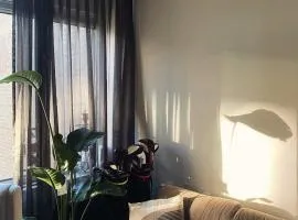 The Scheveningse Meisjes