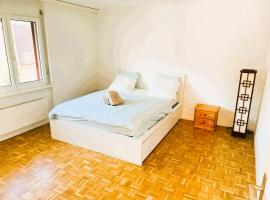 Large Flat with Balcony in Zurich, Kars, hotel v Curychu