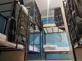 Harmony Backpackers Hostel