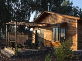 Assaf Boutique Winery & Cabins、Kidmat Tsviのシャレー