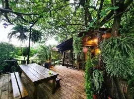 Quinta Pavo Real By Acomodo