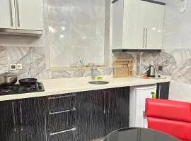 Ayasofya suıtes apart otel