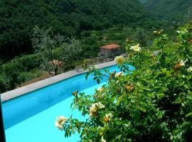 Paradiset THE GREEN NEST