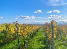 KStay Apartment-Kombi im EG und DG für bis zu 8 Personen mit Dachterrasse, Parkplätzen, Smart-TVs, hotel in Eltville