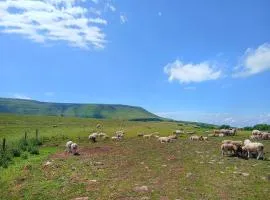 Gooses Roost - Uk32096